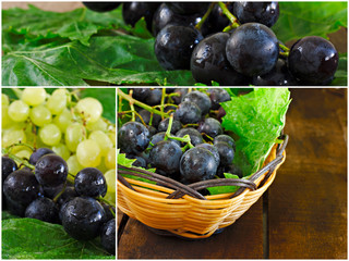 Collage of green and black grapes