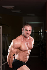 Obraz na płótnie Canvas Bodybuilder Performing Side Triceps Pose