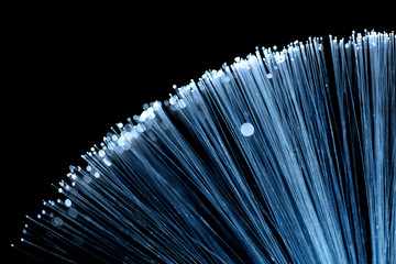 Fiber Optic