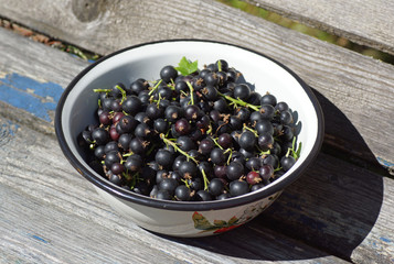 Black currants