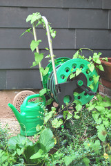 Garten 3