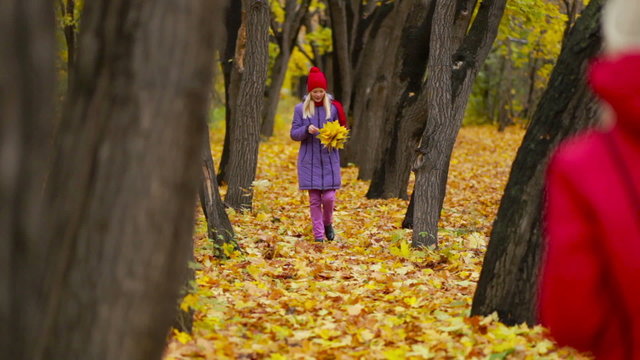 Fall Herbarium