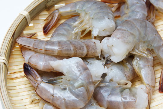 海老食材