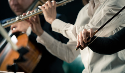 Violinists performing, hands close-up