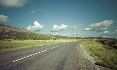 Fototapeta na wymiar Curved asphalt road in the mountains of Iceland