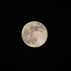 Naklejka na ściany i meble Full Moon, taken on 09 septmber 2014