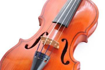 Fototapeta premium violin