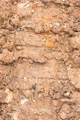 soil