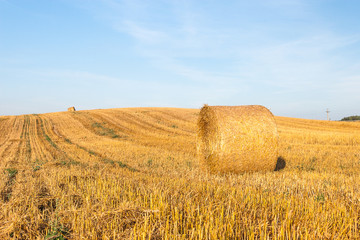 Haystacks in the field