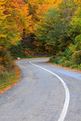 Autumn road in Transylvania