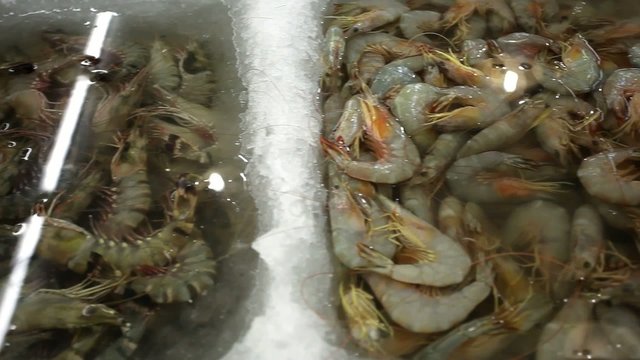 Fresh big shrimp in market, Thailand Koh Samui