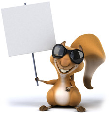 Fun squirrel