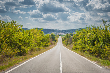 Long road with white stripes between the trees