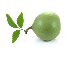 Medicinal Bael fruits