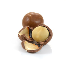macadamia nuts on white background
