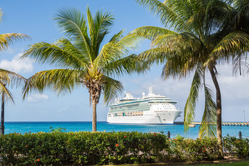 Cruise Ship Between Palm Trees © dbvirago