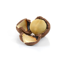 macadamia nuts on white background