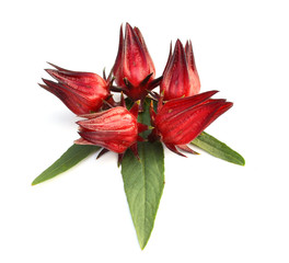 Hibiscus sabdariffa or roselle fruits