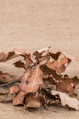 autumn background