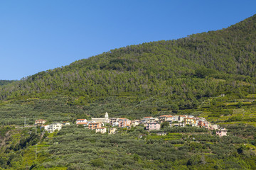 Fototapeta na wymiar cinque terre village