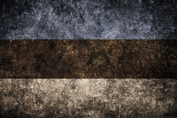 Estonia flag on the wall