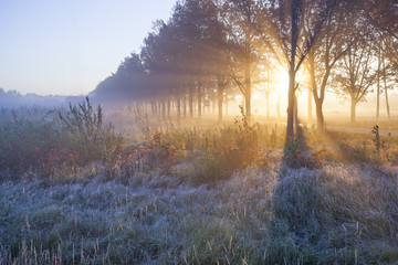 Beautiful sunrise with frost