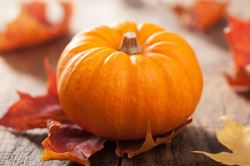 decorative pumpkins and autumn leaves for halloween