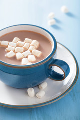 Obraz na płótnie Canvas hot chocolate with mini marshmallows