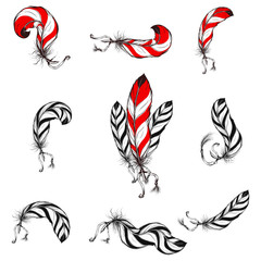 native american eagle feathers set