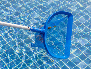 Cleaning and maintenance swimming pool with cleaning net, blue s