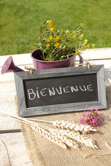 ardoise bienvenue © ALF photo