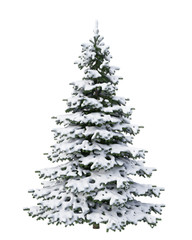 snow Christmas tree isolated on white background