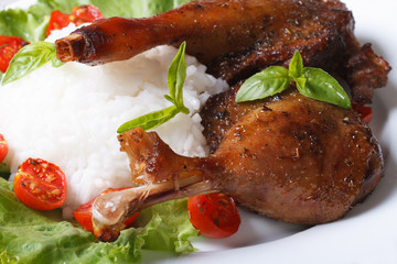 roasted duck leg with rice on lettuce macro horizontal