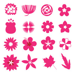 flower vector set