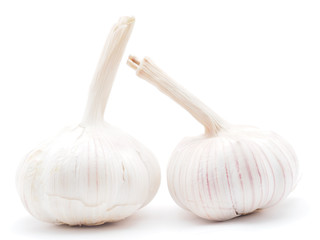 garlic on a white background