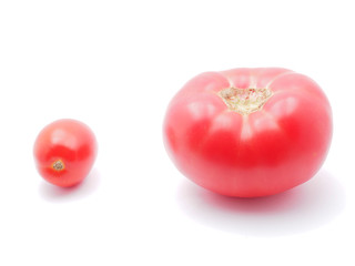 tomatoes on white background