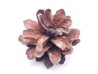 cone on white background