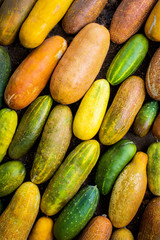 lots of colorful cucumber