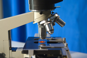 Microscope close-up
