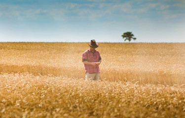 Naklejka na ściany i meble Farmer in wheat field