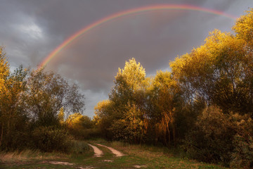 rainbow 3