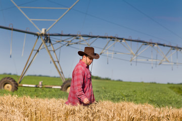 Farmer in wheat field