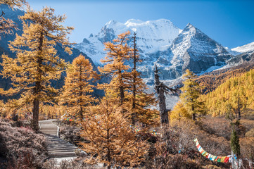 Colorful autumn in China