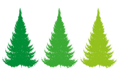 christmas color tree vector