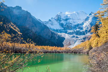 Colorful autumn with pearl lake in Yading China.