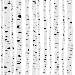 Printed roller blinds Birch trees Birches in vector
