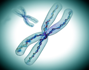 microscopic view of chromosome x - 69992173