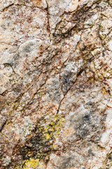Rock