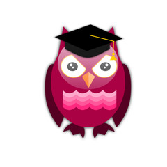 Gufo con cappello da diploma