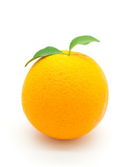 Orange fruit.